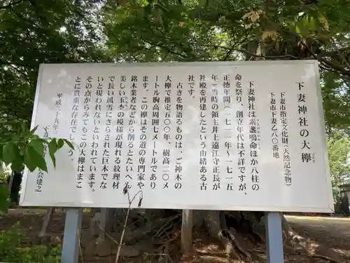 下妻神社(茨城県)