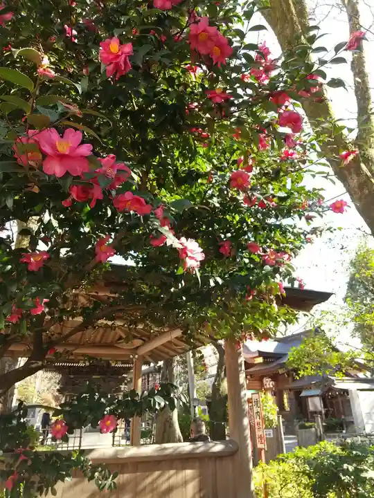 大國魂神社(東京都)