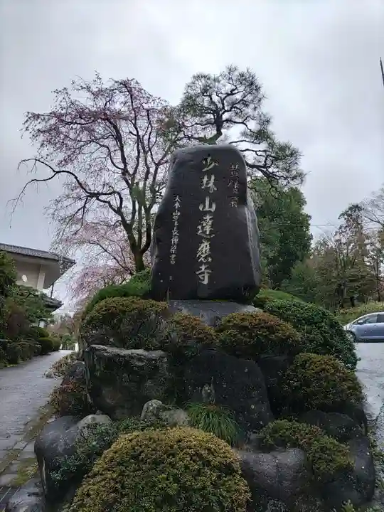 達磨寺(群馬県)