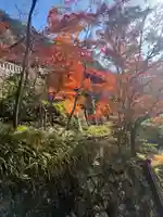 清水寺(京都府)