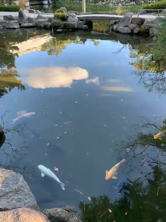 西宮神社の庭園