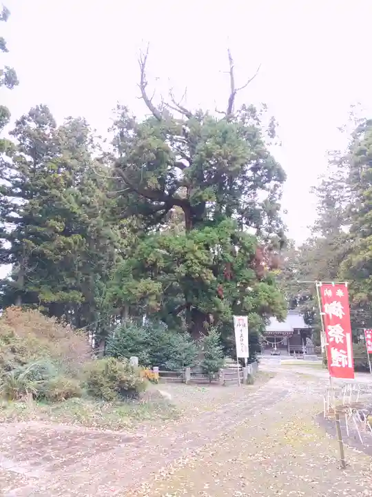 小川温泉神社のその他建物