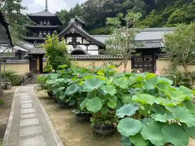 當麻寺 西南院(奈良県)