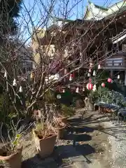 今戸神社(東京都)