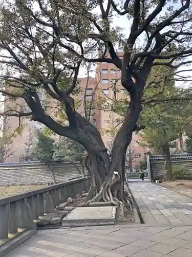 湯島聖堂の動物