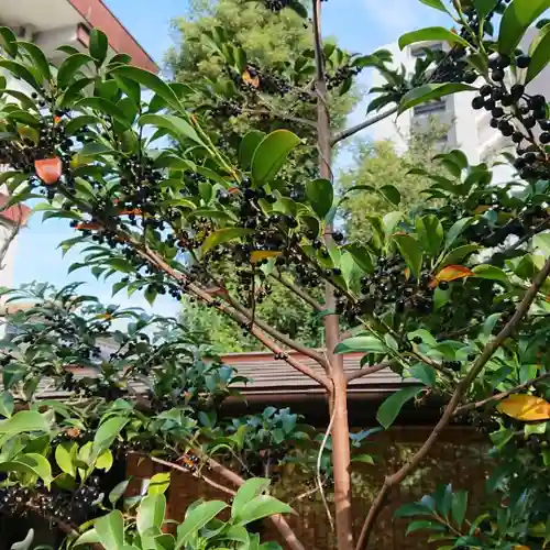 三輪神社の自然