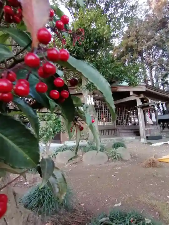 弓田香取神社の自然