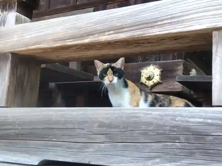 柏木神社(滋賀県)