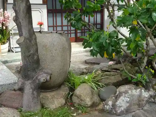 龍泉院のその他建物