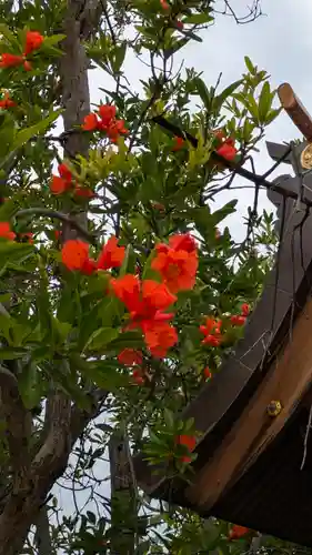 福崎住吉神社(大阪府)