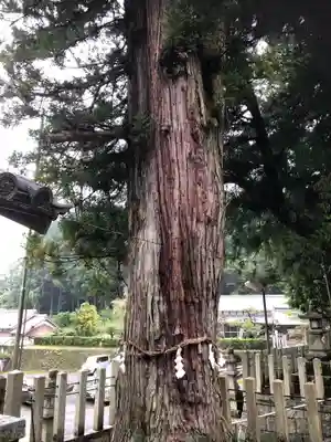 田守神社の自然