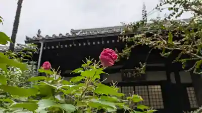 冷雲院(大阪府)