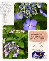 【公式】龍門院常楽寺(秩父札所十一番)(埼玉県)