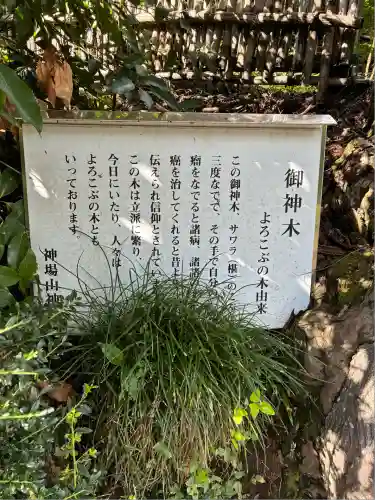神場山神社(静岡県)