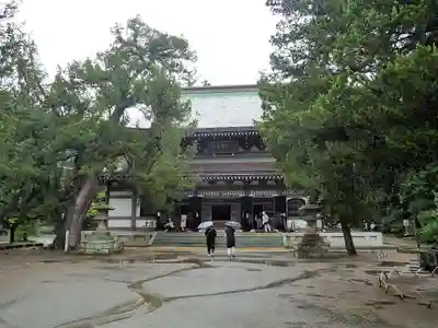 円覚寺の本殿・本堂