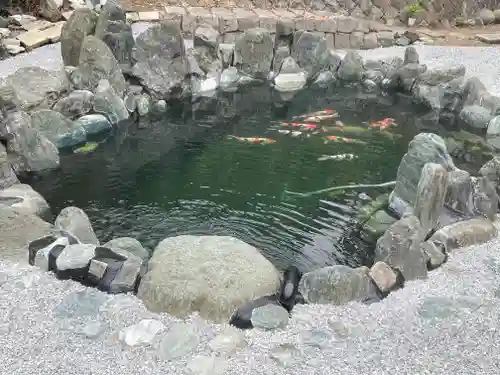 白金氷川神社の御朱印