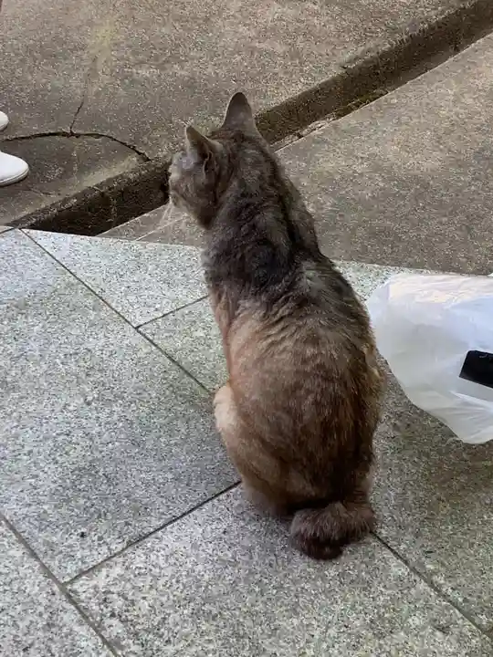 玉野御嶽神社の動物