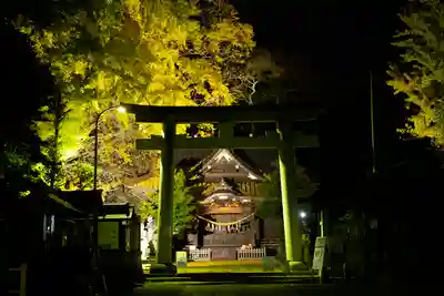 玉敷神社(埼玉県)