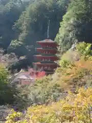 長谷寺(奈良県)