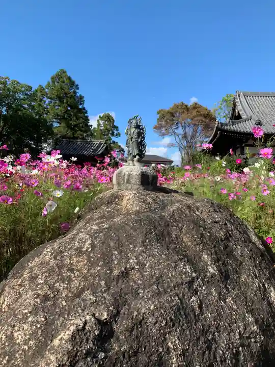 般若寺 ❁コスモス寺❁(奈良県)