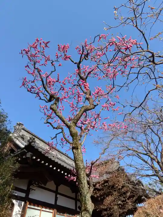 高円寺(東京都)
