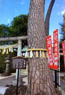中野沼袋氷川神社(東京都)