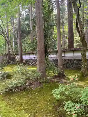 平泉寺白山神社(福井県)