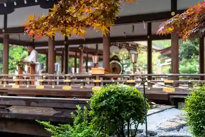 賀茂別雷神社（上賀茂神社）(京都府)