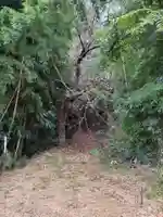 権現神社(千葉県)