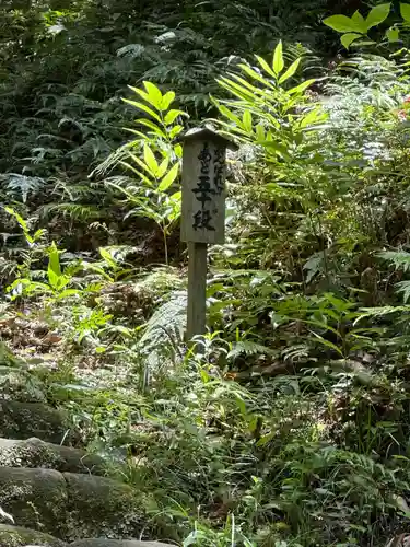 天津神明宮の建物その他