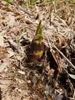 垂水神社(大阪府)