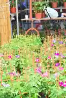 真源寺(入谷鬼子母神)(東京都)