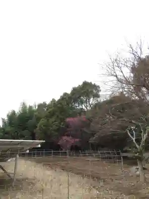 普門寺(千葉県)