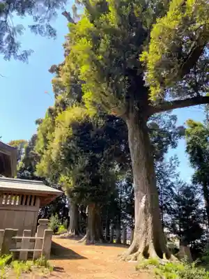 鶴峯八幡宮のその他建物