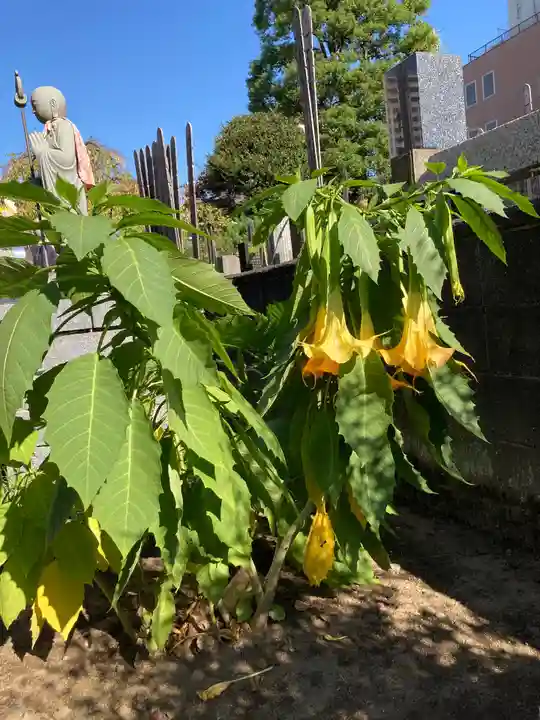 金藏院(神奈川県)