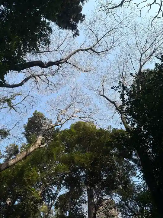 神明神社の{uncategorized: "未分類", other: "その他", undefined: "問題あり", building: "その他建物", grave: "お墓", sacred_gate: "鳥居", guardian: "狛犬", statue: "像", buddha: "仏像", history: "歴史", nature: "自然", garden: "庭園", animal: "動物", pagoda: "塔", temizu: "手水舎", mountain_gate: "山門・神門", sanctuary: "本殿・本堂", subordinate: "末社・摂社", art: "芸術", scenery: "景色", jizo: "地蔵", ema: "絵馬", goshuin: "御朱印", omikuji: "おみくじ", items: "授与品その他", amulet: "お守り", goshuincho: "御朱印帳", eats: "食事", festival: "お祭り", votive_dance: "神楽", shichigosan: "七五三参", wedding: "結婚式", experience: "体験その他", initially: "初詣", around: "周辺", anti_infection: "感染症対策"}