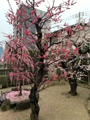 大阪天満宮(大阪府)