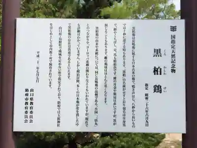 玉祖神社(山口県)