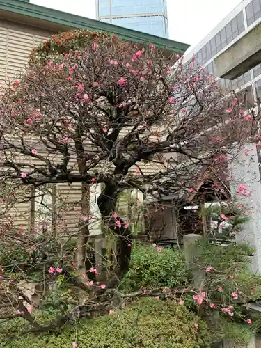 三宮神社(兵庫県)