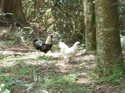 公時神社(神奈川県)