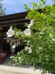 軽米八幡宮(岩手県)