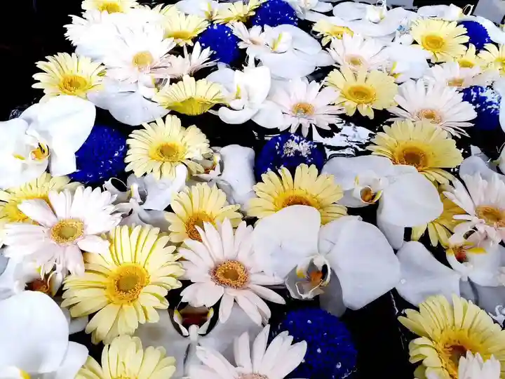 金峯神社(新潟県)