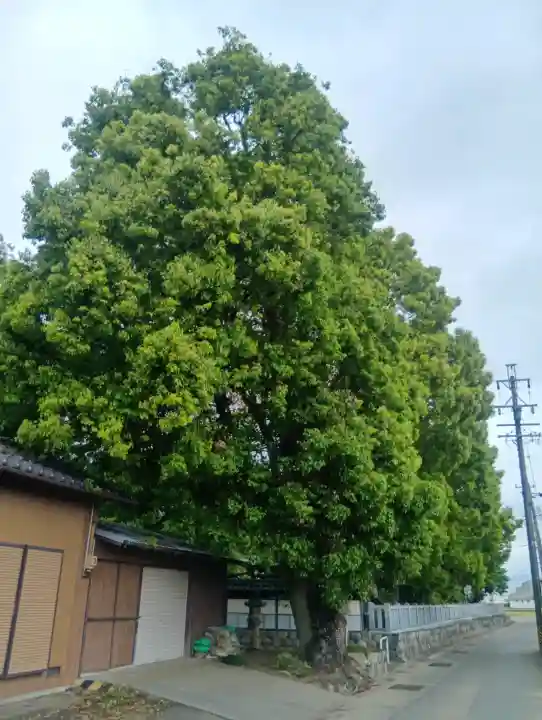 高桑八幡神社の{uncategorized: "未分類", other: "その他", undefined: "問題あり", building: "その他建物", grave: "お墓", sacred_gate: "鳥居", guardian: "狛犬", statue: "像", buddha: "仏像", history: "歴史", nature: "自然", garden: "庭園", animal: "動物", pagoda: "塔", temizu: "手水舎", mountain_gate: "山門・神門", sanctuary: "本殿・本堂", subordinate: "末社・摂社", art: "芸術", scenery: "景色", jizo: "地蔵", ema: "絵馬", goshuin: "御朱印", omikuji: "おみくじ", items: "授与品その他", amulet: "お守り", goshuincho: "御朱印帳", eats: "食事", festival: "お祭り", votive_dance: "神楽", shichigosan: "七五三参", wedding: "結婚式", experience: "体験その他", initially: "初詣", around: "周辺", anti_infection: "感染症対策"}