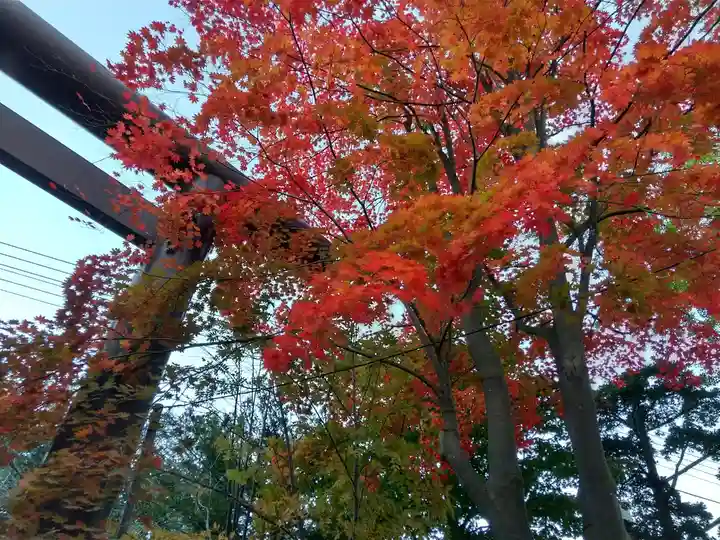 北広島市総鎮守 廣島神社(北海道)