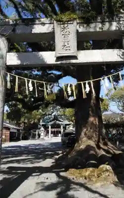 須賀神社のその他建物