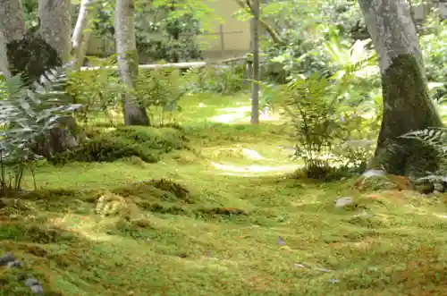 祇王寺(京都府)