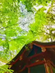 麻賀多神社(千葉県)