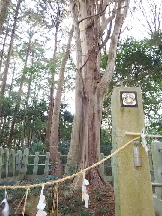 山中八幡宮(愛知県)