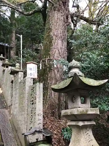 天別豊姫神社の建物その他