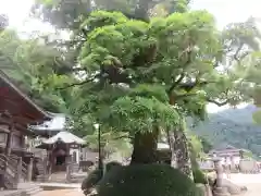 青岸渡寺(和歌山県)